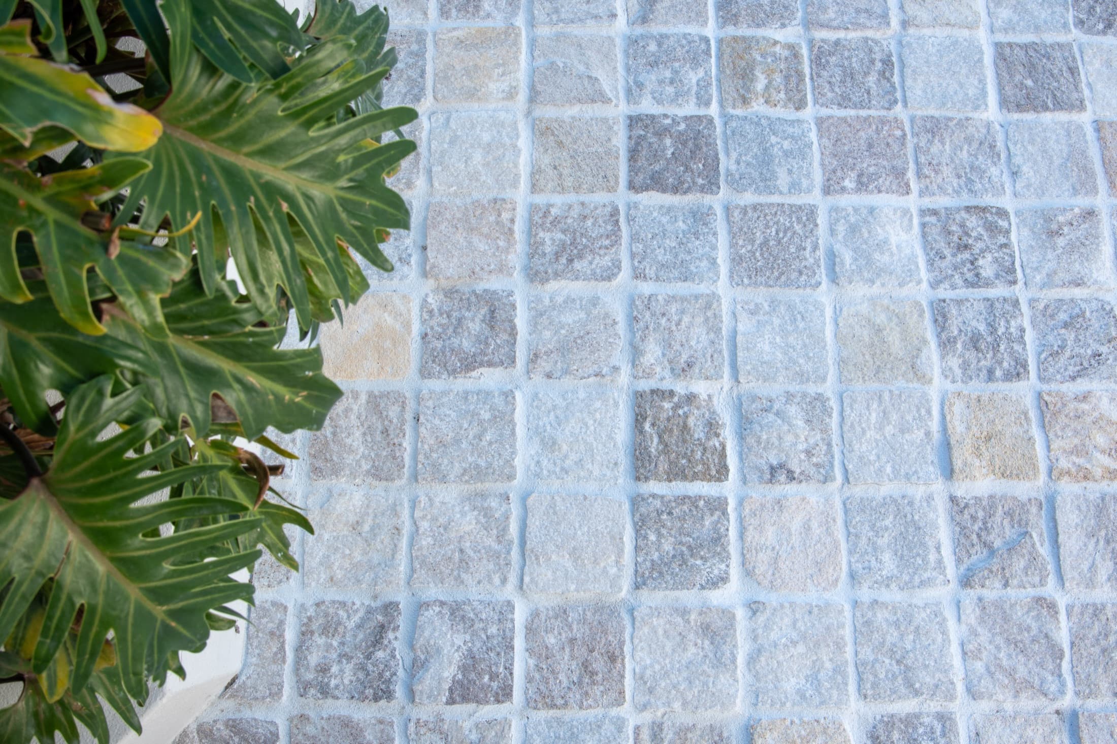 Paving & Stone